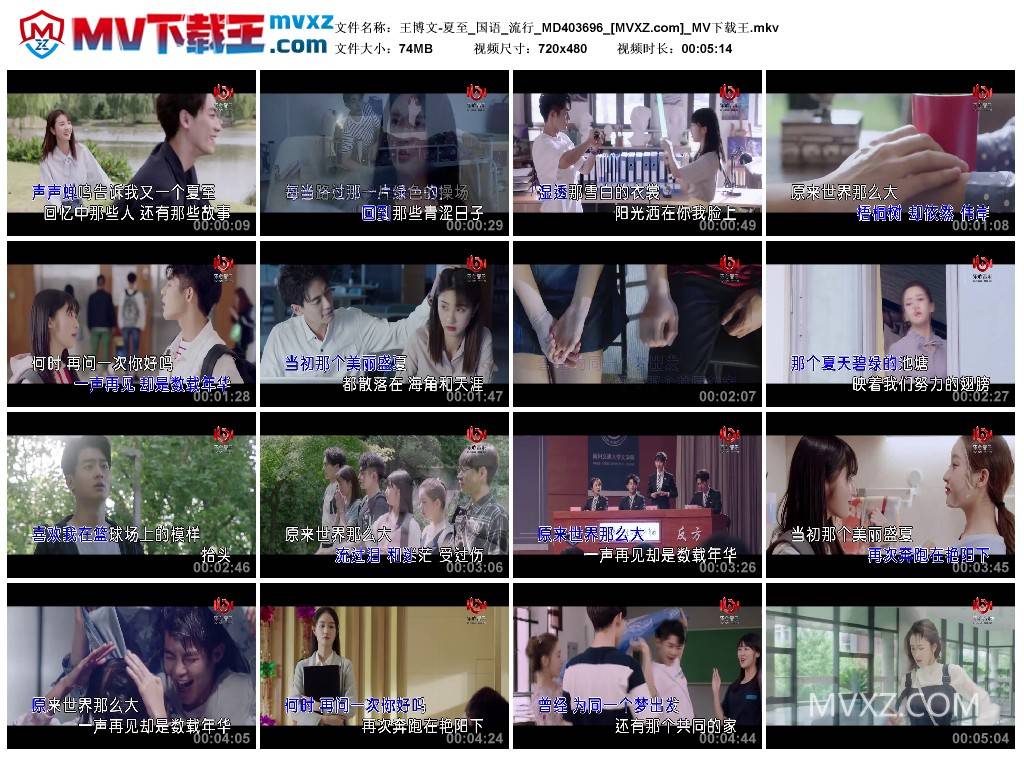 王博文-夏至_国语_流行_MD403696